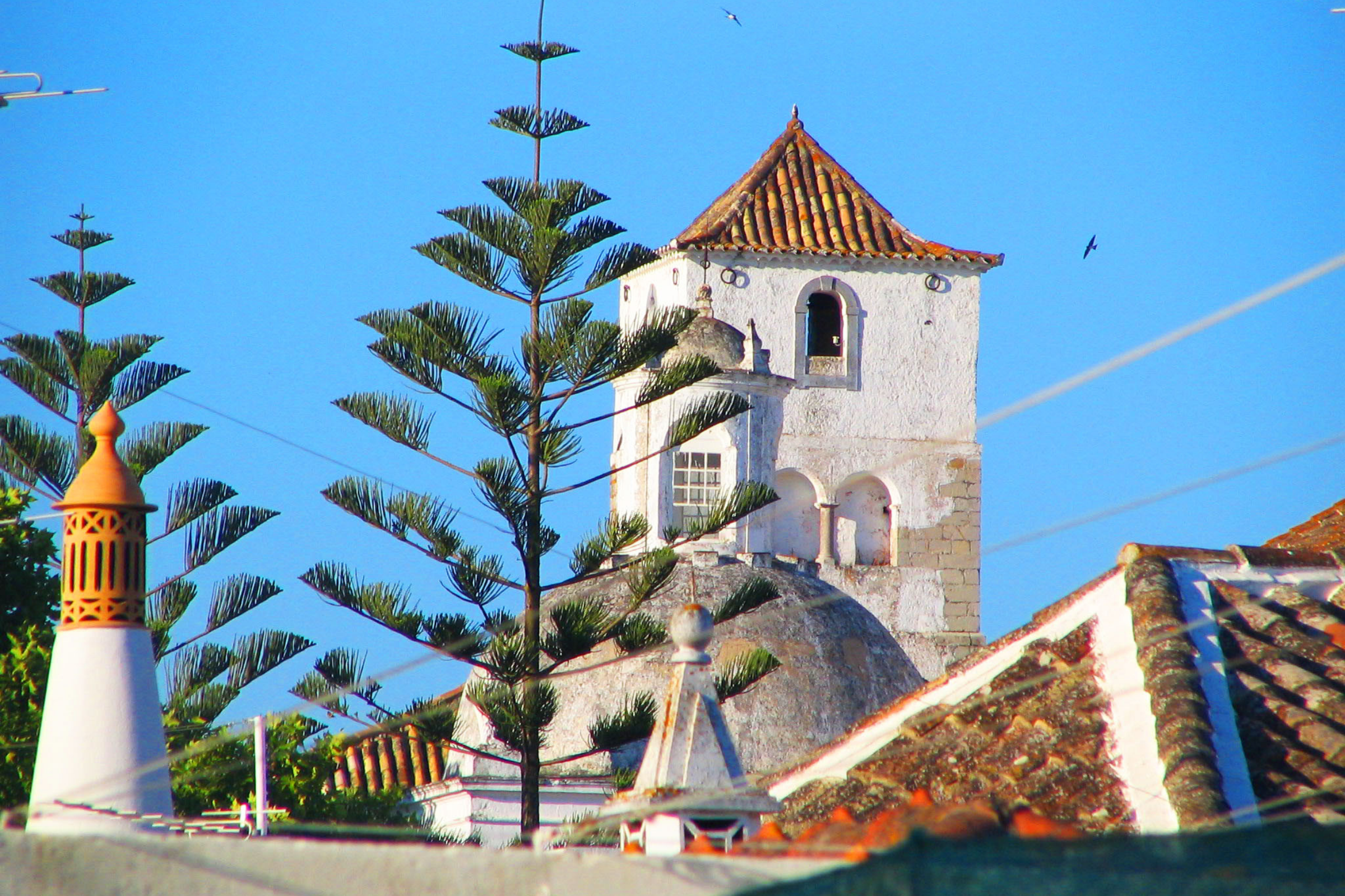tavira (2).webp